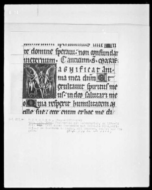 Psalterium mit Kalendarium — Initiale M (agnificat) mit Drachen, Hunden und Vögeln, Folio 199recto