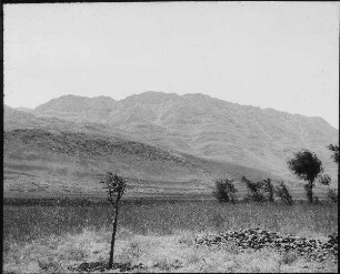 Antilibanos (Gebel es-sakif) v. serraja