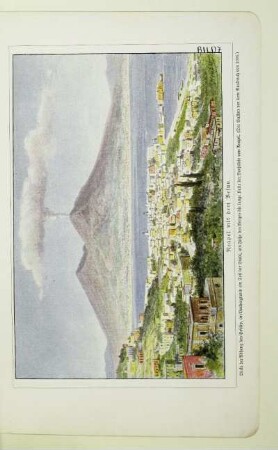 Neapel mit dem Vesuv