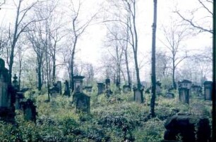 Dresden-Altstadt, Ziegelstraße. Eliasfriedhof. Blick über Grabmale