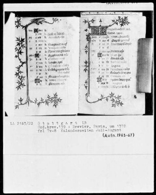Lateinisches Stundenbuch — KL-Ligatur mit anschließender Ranke als Teilbordüre, Folio 8recto