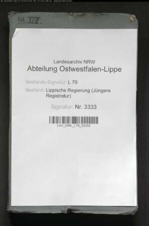 Kommunalwegebau im Amt Lage - Generalia -, Band 17