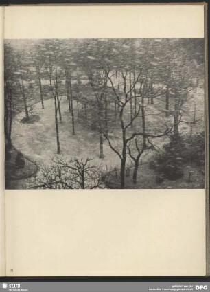 Neige