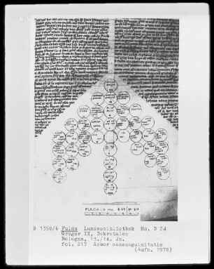 Dekretalen Gregors des Neunten — Arbor consanguinitatis, Folio 217recto