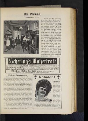 Die Perücke