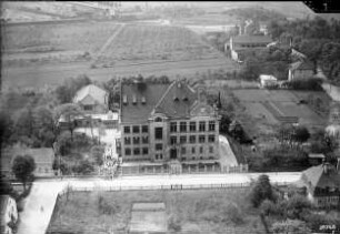 Brandis, Schule