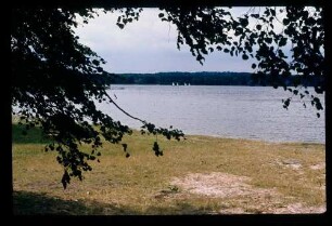 Scharmützelsee 11.8.78.