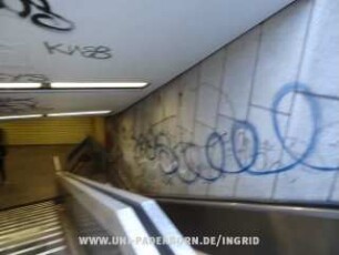 KnEB
