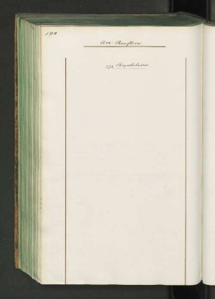 274 Chrysobalaneae.