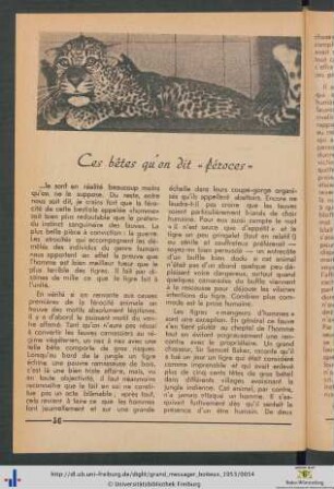 Ces bêtes qu'on dit "féroces".