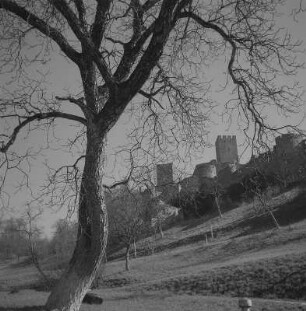 Lörrach. Burg Rötteln im Südschwarzwald