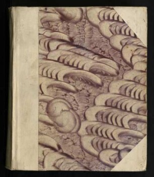 Introductio Ad Libros Propheticos Bibliorum Veteris Testamenti : Praecognita Critica Et Historica, Ac Autoritatis Vindicias Exponens