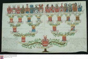 Ahnenprobe des Lothar Hugo v. u. z. Hees. - ausgefertigt 1747 Mai 8 Beglaub[igung] der Kopie, Pergament