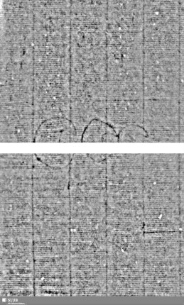 Tre lune / Dreiblatt = S.1-4
