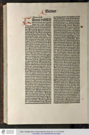Predigt 34.