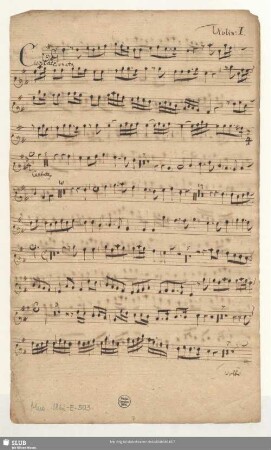 Violin[o]: 1.