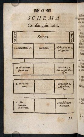 66, Schema Consanguinitatis.