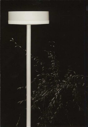 Gartenleuchte mit Mast "Nr. 9567" der BEGA Gantenbrink-Leuchten KG