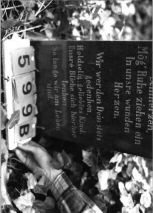 Grabstein 599 (Index: 99789028) Material: polierter Granit Zustand: sehr gut Maße HxBxT: 104x31x12 cm Besonderheit: Kindergrab: Grabstein 599B