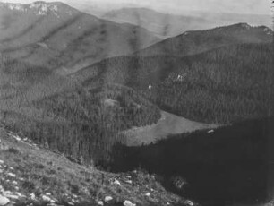 Bewaldetes Bergtal : Blick in ein bewaldetes Bergtal