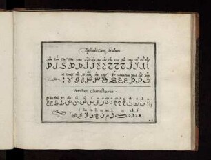 Alphabetum Arabum. - Arabici Characteres