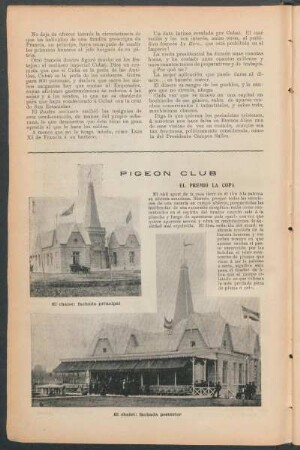 Pigeon Club : El premio la Copa