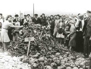 Lublin-Majdanek. An den sterblichen Überresten ermordeter Häftlinge des faschistischen Konzentrationslagers Majdanek werden von der Bevölkerung Blumen niedergelegt