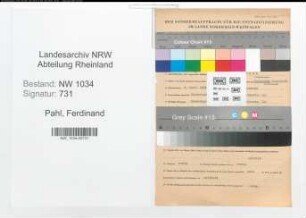 Entnazifizierung Ferdinand Pahl , geb. 04.04.1893 (Oberst)
