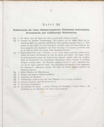 Tafel XI. Echinococcus der Leber, Distoma hepaticum, Pentastoma denticulatum, Alveolarkrebs und vielfächeriger Echinococcus.