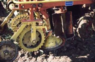 Fotografie: Erntetechnik, Zuckerrübe, Rodeorgan, Köpforgan
