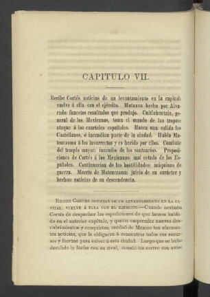 Capitulo VII