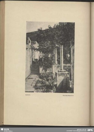 Ein Hausgarten