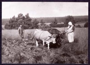 Urbarmachung von Land