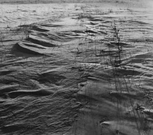 Landschaft