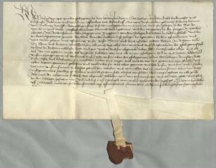 Kurfürst Philipp von der Pfalz belehnt Friedrich Kämmerer von Dalberg (Talburg), Sohn des verstorbenen Ritters Wolf Kämmerer [von Dalberg], mit Hä...