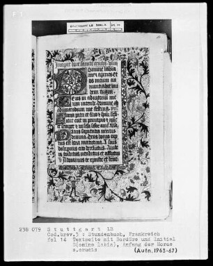 Stundenbuch — Initiale D (omine labia), Folio 14recto