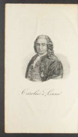 Tafel: Portrait Carolus a Linné.