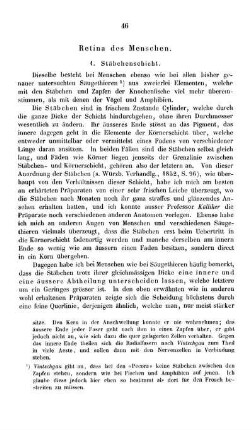 Retina des Menschen.