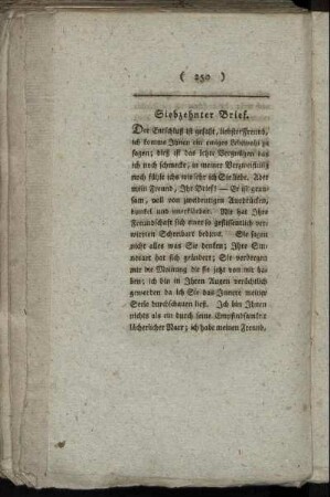 Siebzehnter Brief.