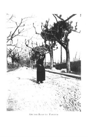 ON THE ROAD TO PAESTUM