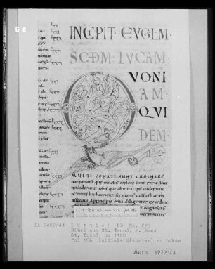 Ms. 225 — Ms. 225, Folio 186rectoBuchseite