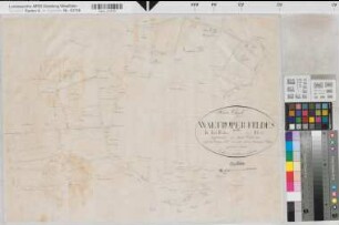 Altenberge (Altenberge), Teilung des Waltruper Feldes, Bl. 1 Reinkarte