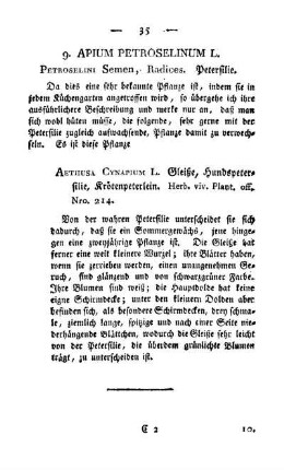 9. Apium petroselinum L.