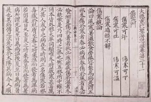 Sheng-chi-tsung-lu (Sammlung von chinesischen medizinischen Rezepten), Yuan-Ausgabe