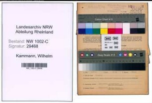 Entnazifizierung Wilhelm Kammann, geb. 28.05.1908 (Kaufmann)