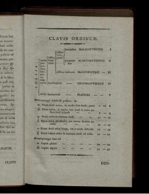 Clavis Ordinum.