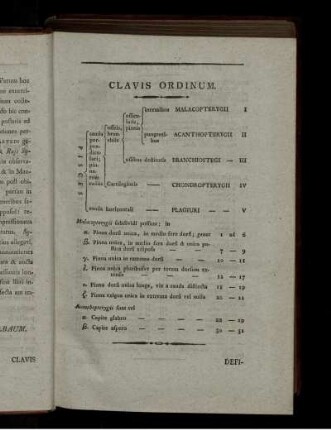 Clavis Ordinum.