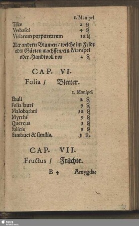 Cap. VI. Folia / Bletter