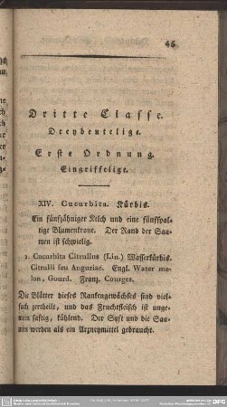 Dritte Classe. Dreybeutelige