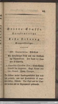 Dritte Classe. Dreybeutelige